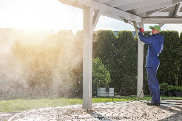 Best Dumpster Area Cleaning  in Benton, TN
